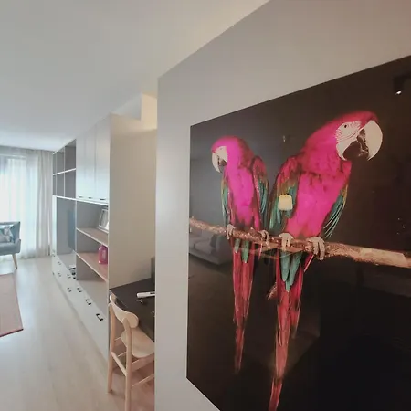 Miami A Lovely Center 2 Bedrooms With Private Parking Lägenhet *